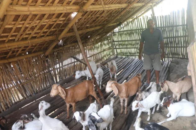 Laxmi Prasad Adhikari Returns from Malaysia to Start Goat Farm in Bhojpur