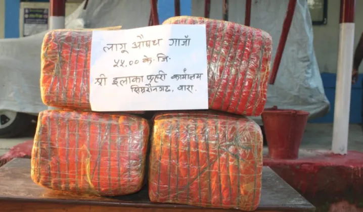 Man Arrested with 55 kg of Marijuana in Bara
