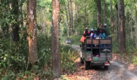 Jeep Safari Resumes in Chitwan National Park After Monsoon Closure