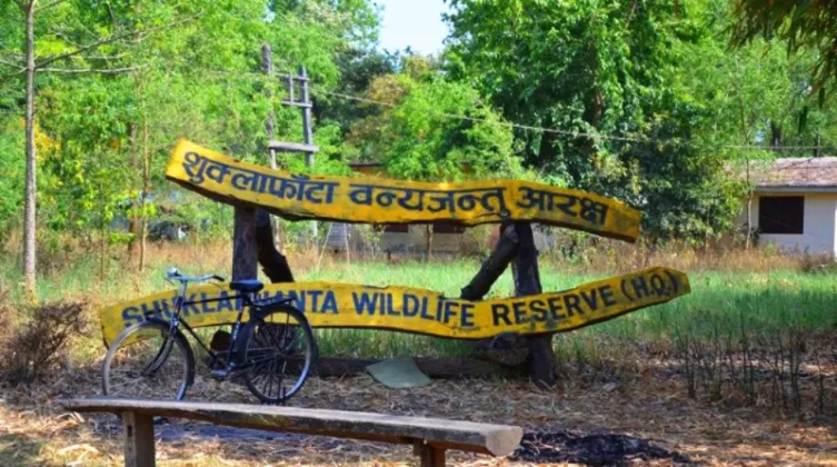 Shuklaphanta National Park Opens Jungle Safari Ahead of Dashain-Tihar