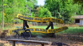 Shuklaphanta National Park Opens Jungle Safari Ahead of Dashain-Tihar
