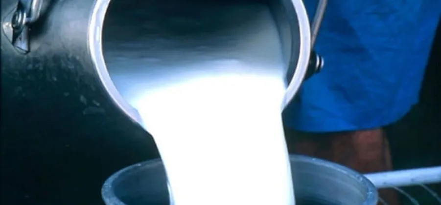 Fifteen Dairy Farmers in Tanahun’s Bandipur Honoured for Milk Sales