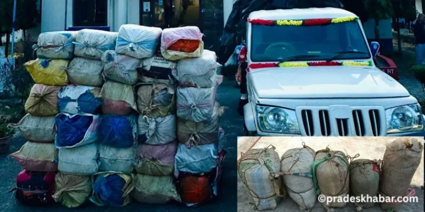 Police Seize 1,040.44 Kg of Marijuana in Udayapur, One Arrested