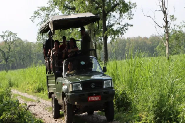 Shuklaphanta National Park Reopens Jungle Safari for Dashain and Tihar Visitors