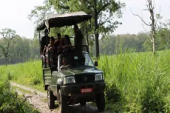 Shuklaphanta National Park Reopens Jungle Safari for Dashain and Tihar Visitors
