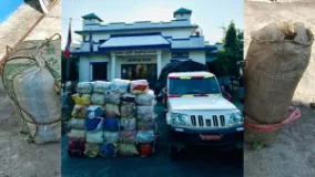 Police Seize More Than 1,000 kg of Marijuana in Udayapur, Arrest One