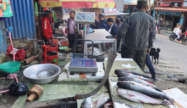 Meat and Fish Shops Inspected in Taplejung’s Phungling Market Ahead of Festive Season