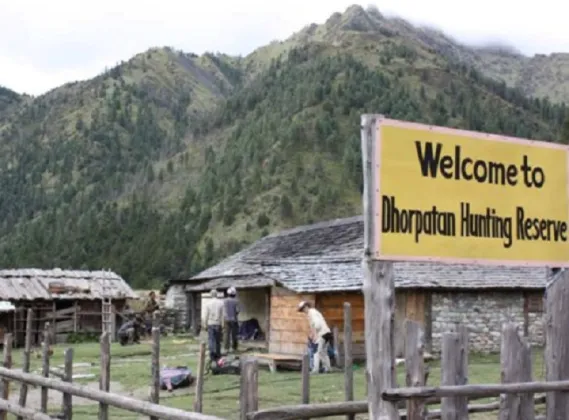 Dhorpatan Hunting Reserve to Count Blue Sheep and Himalayan Tahr