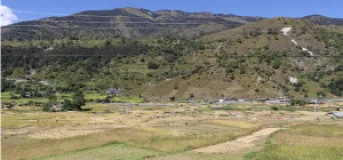 Dashain Rush Builds in Bajura Markets as Farmers Harvest Paddy
