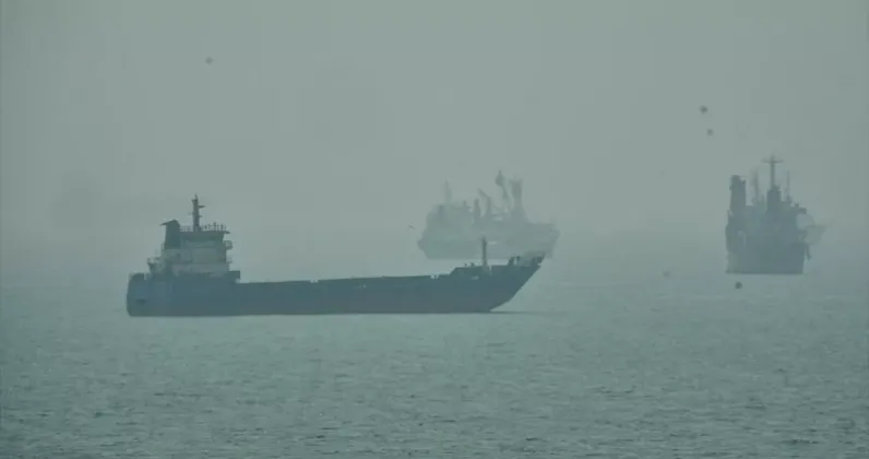 Cargo Ship Sinks in Strait of Hormuz After Hitting Sea Mine, Iran Says