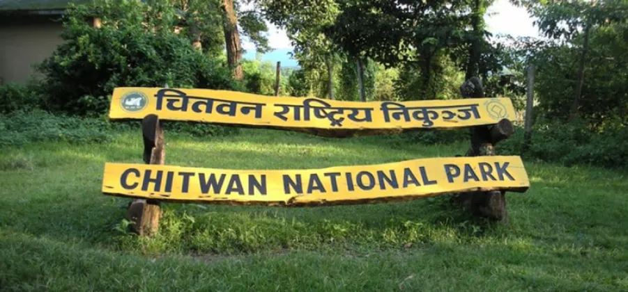 Chitwan National Park Deploys 1,200 Security Personnel for Festival Anti-Poaching Plan