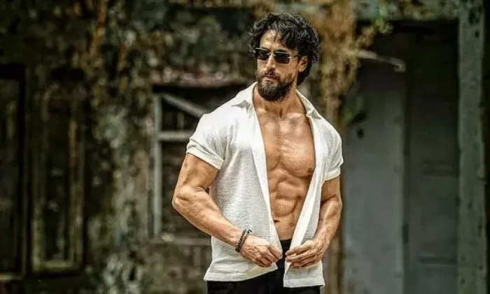 Tiger Shroff's Car Fired Upon in Mumbai's Juhu; Driver Injured, US-Based Gangster Claims Responsibility