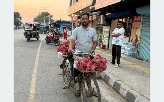 Kanchanpur Government Clerk Earns Rs 60,000 a Month Selling Dragon Fruit by Bicycle