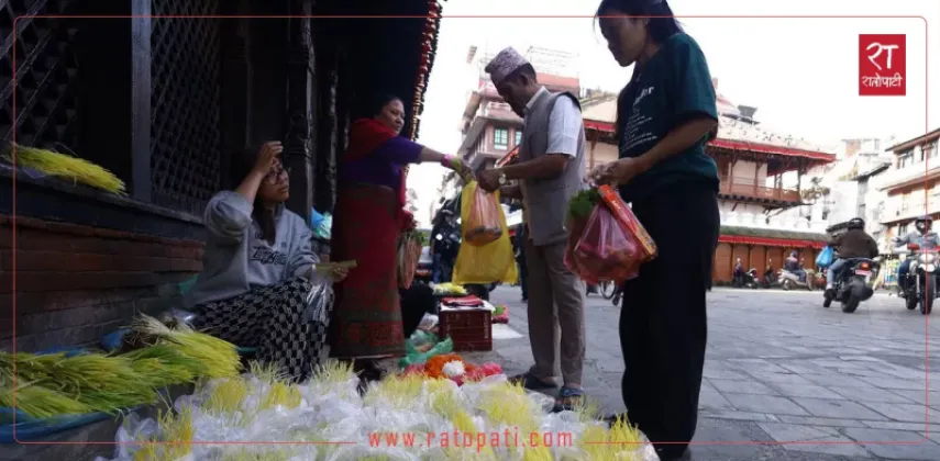 Jamara Sales Pick Up Across Kathmandu Ahead of Vijaya Dashami