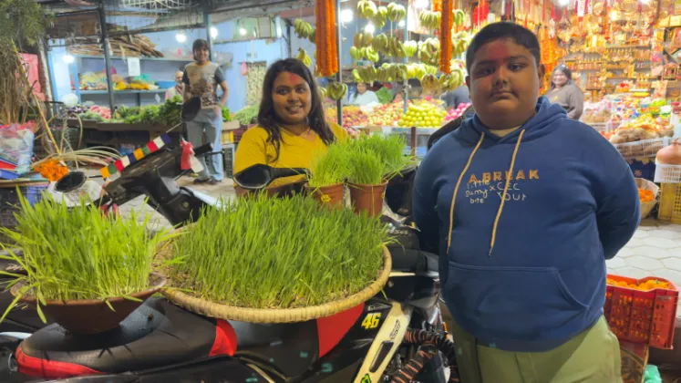 Jamara Sales Boom in Nepal During Dashain Festival