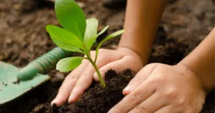 5,000 Saplings Planted Along Machheli River to Stop Erosion in Kanchanpur