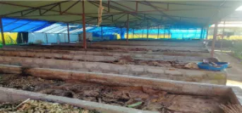Syangja farmers turn to vermicompost amid chemical fertiliser shortage