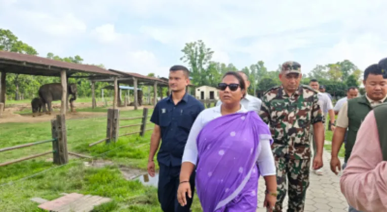 Minister Gita Chaudhary Inspects Rain-Damaged Banana Farms