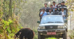 Chitwan National Park Targets Jeep Safari Reopening Before Dashain