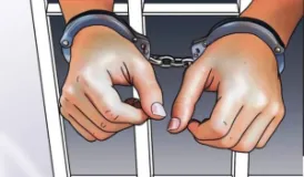 Two Arrested with Three Guns in Bara, Including a Muzzleloader