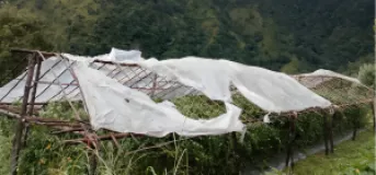 Storm Damages Vegetable Tunnels in Gulmi’s Satyawati