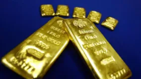 Police Seize Around 22 Kg of Gold in Budhanilkantha