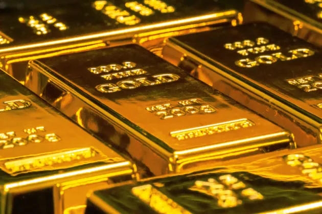 Police Seize 21 Kilograms of Gold in Kathmandu’s Budhanilkantha, Several Arrested